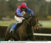 11 January 2004; Emotional Moment, with Barry Geraghty up, in action during the Paddy Fitzpatrick Memorial Novice Steeplechase, Leopardstown Racecourse, Dublin. Picture credit; Pat Murphy / SPORTSFILE *EDI*