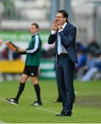 4 July 2013; Malmö FF manager Rikard Norling. UEFA Europa League, First Qualifying Round, First Leg, Drogheda United v Malmö FF, Tallaght Stadium, Tallaght, Dublin. Photo by Sportsfile