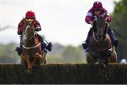 29 September 2020; Shumaker, left, with Darragh O'Keeffe up, jumps the last alongside eventual second place Dakota Moirette, with Jack Kennedy up, on their way to winning the Close Brothers Beginners Steeplechase at Punchestown Racecourse in Kildare. Photo by Seb Daly/Sportsfile
