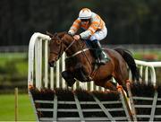 29 September 2020; Robinnia, with Paul Townend up, jumps the last on their way to winning the Killashee Hotel Mares Maiden Hurdle at Punchestown Racecourse in Kildare. Photo by Seb Daly/Sportsfile