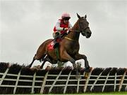 30 September 2020; Young Ted, with Sean Flanagan up, jumps the last on their way to winning the Kaizen Brand Evolution Maiden Hurdle at Punchestown Racecourse in Kildare. Photo by Seb Daly/Sportsfile