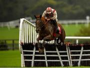 30 September 2020; Gotthenod, with Simon Torrens up, jumps the last on their way to winning the FitzpatrickPromotions.ie Mares Handicap Hurdle at Punchestown Racecourse in Kildare. Photo by Seb Daly/Sportsfile