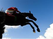 14 October 2020; Red Gerry, with Sean Flanagan up, jumps the first on their way to winning the K Club Handicap Hurdle at Punchestown Racecourse in Kildare. Photo by Seb Daly/Sportsfile