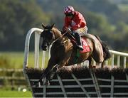 14 October 2020; Red Gerry, with Sean Flanagan up, jumps the last on their way to winning the K Club Handicap Hurdle at Punchestown Racecourse in Kildare. Photo by Seb Daly/Sportsfile