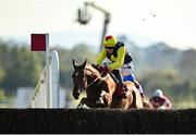 14 October 2020; The Storyteller, with Keith Donoghue up, jumps the last on their way to winning the Irish Daily Star Salutes Our Frontline Heroes Steeplechase at Punchestown Racecourse in Kildare. Photo by Seb Daly/Sportsfile