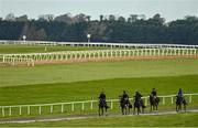 15 October 2020; A string of horses return from the gallops prior to racing at The Curragh Racecourse in Kildare. Photo by Seb Daly/Sportsfile