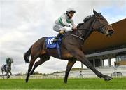 15 October 2020; Flor De La Luna, with Shane Foley up, on their way to winning the Equilux Costs Less Than 2 Euro A Week Maiden at The Curragh Racecourse in Kildare. Photo by Seb Daly/Sportsfile