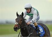 15 October 2020; Flor De La Luna, with Shane Foley up, on their way to winning the Equilux Costs Less Than 2 Euro A Week Maiden at The Curragh Racecourse in Kildare. Photo by Seb Daly/Sportsfile