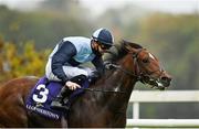 17 October 2020; Benaud, with Shane Crosse up, on their way to winning the Leopardstown Nursery Handicap at Leopardstown Racecourse in Dublin. Photo by Seb Daly/Sportsfile