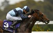 17 October 2020; Benaud, with Shane Crosse up, on their way to winning the Leopardstown Nursery Handicap at Leopardstown Racecourse in Dublin. Photo by Seb Daly/Sportsfile