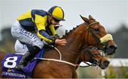 17 October 2020; Surrounding, with Ronan Whelan up, on their way to winning the Knockaire Stakes at Leopardstown Racecourse in Dublin. Photo by Seb Daly/Sportsfile