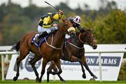 17 October 2020; Surrounding, left, with Ronan Whelan up, races alongside eventual second place Laughifuwant, with Gary Carroll up, on their way to winning the Knockaire Stakes at Leopardstown Racecourse in Dublin. Photo by Seb Daly/Sportsfile