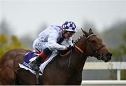 17 October 2020; Poetic Flare, with Kevin Manning up, on their way to winning the Killavullan Stakes at Leopardstown Racecourse in Dublin. Photo by Seb Daly/Sportsfile