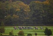 17 October 2020; A view of the field during the Leopardstown Members Club Maiden at Leopardstown Racecourse in Dublin. Photo by Seb Daly/Sportsfile