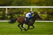 17 October 2020; Camorra, with Sam Ewing up, on their way to winning the Manguard Plus Handicap at Leopardstown Racecourse in Dublin. Photo by Seb Daly/Sportsfile