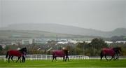 17 October 2020; Horses are led to the parade ring prior to the Leopardstown Members Club Maiden at Leopardstown Racecourse in Dublin. Photo by Seb Daly/Sportsfile