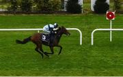 17 October 2020; Benaud, with Shane Crosse up, on their way to winning the Leopardstown Nursery Handicap at Leopardstown Racecourse in Dublin. Photo by Seb Daly/Sportsfile