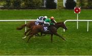 17 October 2020; Lobo Rojo, near, with Shane Foley up, passes the post ahead of second place Vermilion Cliffs, far, with Padraig Beggy up, to win the Leopardstown Members Club Maiden at Leopardstown Racecourse in Dublin. Photo by Seb Daly/Sportsfile