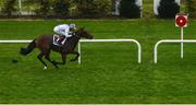 17 October 2020; Poetic Flare, right, with Kevin Manning up, on their way to winning the Killavullan Stakes at Leopardstown Racecourse in Dublin. Photo by Seb Daly/Sportsfile