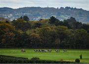 17 October 2020; A view of the field during the Breast Cancer Ireland Handicap at Leopardstown Racecourse in Dublin. Photo by Seb Daly/Sportsfile