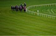 17 October 2020; A view of the field during the Breast Cancer Ireland Handicap at Leopardstown Racecourse in Dublin. Photo by Seb Daly/Sportsfile