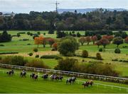 17 October 2020; A view of the field during the Breast Cancer Ireland Handicap at Leopardstown Racecourse in Dublin. Photo by Seb Daly/Sportsfile
