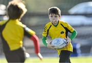 18 October 2020; Sam Field during Ashbourne RFC Minis rugby training at Ashbourne RFC in Ashbourne, Meath. Photo by Piaras Ó Mídheach/Sportsfile