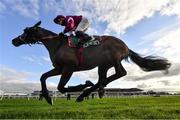 22 October 2020; Tiger Roll, with Sam Ewing up, during the Flower Hill Maiden at Navan Racecourse in Meath. Photo by Harry Murphy/Sportsfile