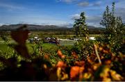 23 October 2020; Runners and riders jump the first during the Garvogue River Mares Handicap hurdle at Sligo Racecourse in Sligo. Photo by David Fitzgerald/Sportsfile