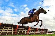 31 October 2020; Varna Gold, with Jack Gilligan up, clear the last on their way to finishing second in the Metcollect 3 year old hurdle at Down Royal Racecourse in Lisburn, Down. Photo by David Fitzgerald/Sportsfile