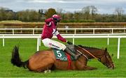 8 November 2020; Eclair De Beaufeu, with Mark Walsh up, falls at the last during the Tote Fortria Steeplechase at Navan Racecourse in Meath. Photo by Seb Daly/Sportsfile