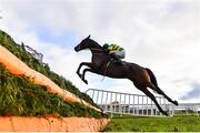 8 November 2020; Le Musigny, with Mark Walsh up, jumps the last during the Irish Stallion Farms EBF Beginners Steeplechase at Navan Racecourse in Meath. Photo by Seb Daly/Sportsfile