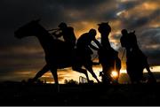 8 November 2020; Jockey Mark Walsh, centre, is unseated from Walk Me Home, after jumping the last, alongside eventual winner King Alex, left, with Mark Bolger up, during the Navanracecourse.ie Handicap Hurdle at Navan Racecourse in Meath. Photo by Seb Daly/Sportsfile