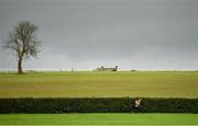 12 November 2020; Sassy Yet Classy, with Denis O'Regan up, goes to post prior to the Clonmel Oil Service Station Handicap Hurdle at Clonmel Racecourse in Clonmel, Tipperary. Photo by Seb Daly/Sportsfile