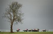 12 November 2020; A view of the field during the Clonmel Oil Service Station Handicap Hurdle at Clonmel Racecourse in Clonmel, Tipperary. Photo by Seb Daly/Sportsfile