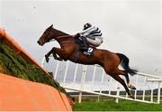 14 November 2020; Haggard Lad, with Keith Donoghue up, jumps the fourth during the Roche Group At Vista Beginners Steeplechase at Punchestown Racecourse in Kildare. Photo by Seb Daly/Sportsfile