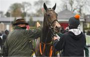 14 November 2020; Trainer Noel Meade congratulates Daly Tiger following the Alanna Homes Handicap Steeplechase at Punchestown Racecourse in Kildare. Photo by Seb Daly/Sportsfile