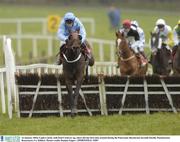 16 January 2004; Cupla Cairde, with Paul Carberry up, clears the last first time around during the Panoramic Restaurant Juvenile Hurdle, Punchestown Racecourse, Co. Kildare. Picture credit; Damien Eagers / SPORTSFILE *EDI*
