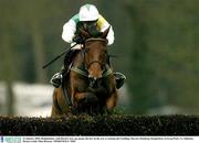 22 January 2004; Hedgehunter, with David Casey up, jumps the last on the way to winning the Goulding Thyestes Handicap Steeplechase, Gowran Park, Co. Kilkenny. Picture credit; Matt Browne / SPORTSFILE *EDI*