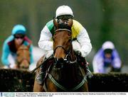 22 January 2004; Hedgehunter, with David Casey up, races to the finish to win the Goulding Thyestes Handicap Steeplechase, Gowran Park, Co. Kilkenny. Picture credit; Matt Browne / SPORTSFILE *EDI*