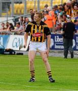 6 July 2013; Kilkenny substitute Henry Shefflin warms up ahead of the game. GAA Hurling All-Ireland Senior Championship, Phase II, Kilkenny v Tipperary, Nowlan Park, Kilkenny. Picture credit: Ray McManus / SPORTSFILE