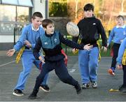 19 November 2020; Charlie MacRoibin in action during a Leinster Rugby kids training session at Gaelscoil Moshíológ in Gorey, Wexford. Photo by Matt Browne/Sportsfile