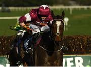 21 November 2020; Notebook, with Rachael Blackmore up, on their way to winning the Poplar Square Steeplechase at Naas Racecourse in Kildare. Photo by Matt Browne/Sportsfile