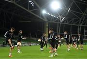 25 November 2020; Christoph Knasmüllner, left, and Taxiarchis Fountas during a SK Rapid Wien training session at Aviva Stadium in Dublin. Photo by Ben McShane/Sportsfile