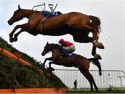 26 November 2020; Harrie jumps the last after parting company with jockey Danny Mullins during the Killinan Beginners Steeplechase at Thurles Racecourse in Tipperary. Photo by Seb Daly/Sportsfile