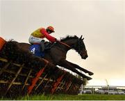 26 November 2020; Listenheretomejack, with Donagh Meyler up, jumps the last on their way to winning the Templemore Handicap Hurdle at Thurles Racecourse in Tipperary. Photo by Seb Daly/Sportsfile