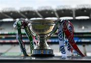 28 November 2020; The Lory Meagher cup is seen prior to the Lory Meagher Cup Final match between Fermanagh and Louth at Croke Park in Dublin. Photo by Harry Murphy/Sportsfile
