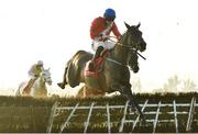 29 November 2020; Ballyadam, with Jack Kennedy up, jumps the last on their way to winning the BARONERACING.COM Royal Bond Novice Hurdle on day two of the Fairyhouse Winter Festival at Fairyhouse Racecourse in Ratoath, Meath. Photo by Seb Daly/Sportsfile