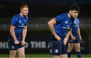 22 November 2020; Ciarán Frawley of Leinster, left, alongside team-mate Harry Byrne during the Guinness PRO14 match between Leinster and Cardiff Blues at RDS Arena in Dublin. Photo by Brendan Moran/Sportsfile