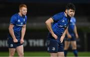 22 November 2020; Harry Byrne of Leinster, right, alongside team-mate Ciarán Frawley during the Guinness PRO14 match between Leinster and Cardiff Blues at RDS Arena in Dublin. Photo by Brendan Moran/Sportsfile